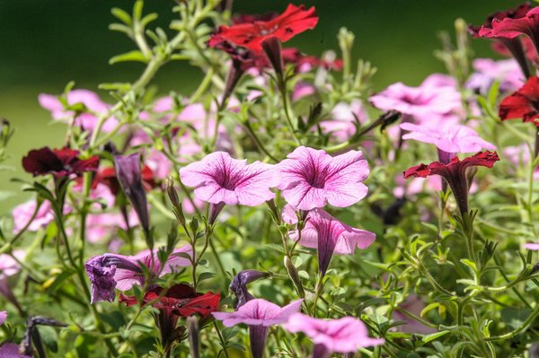 Attrezzi Innovativi per Rendere la Tua Casa un Paradiso di Comfort